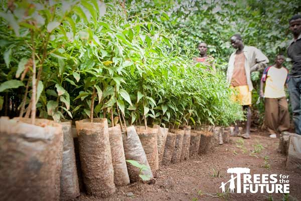 Trees for the future plant trees. change lives 